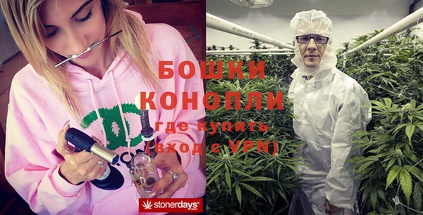 гидропоника Каменка