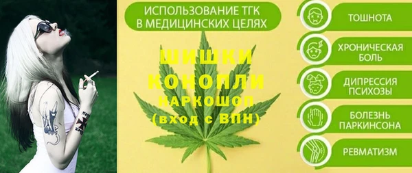 гидропоника Каменка