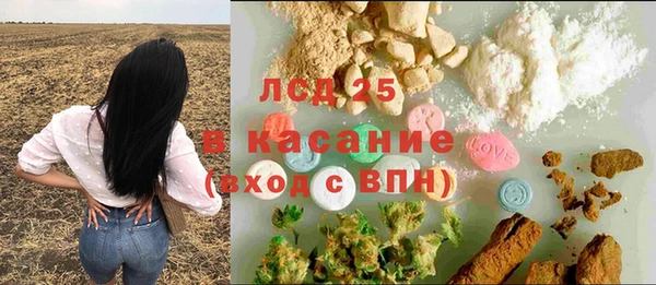 гидропоника Каменка
