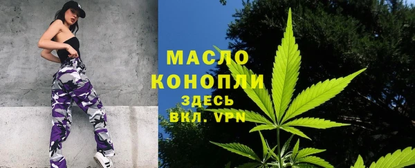 гидропоника Каменка