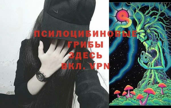 мяу мяу мука Каменск-Шахтинский